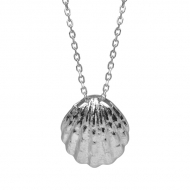 SS Shell Pendant