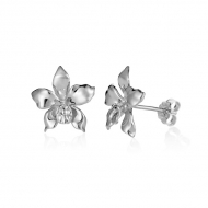 14K WG Orchid Earrings
